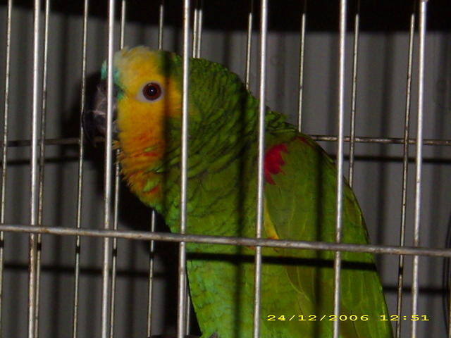 DSCI0027