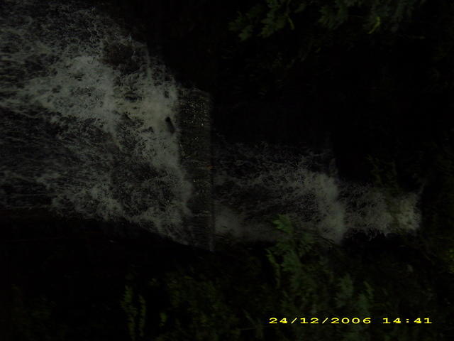 DSCI0042