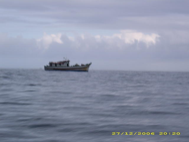 DSCI0173