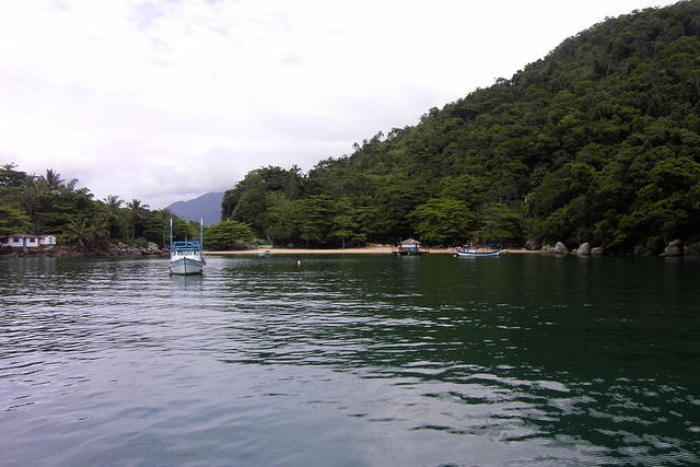 PIC 1945