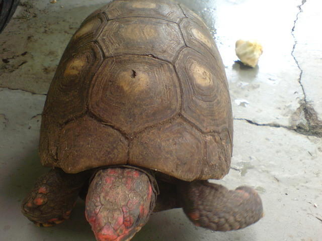 DSC00049