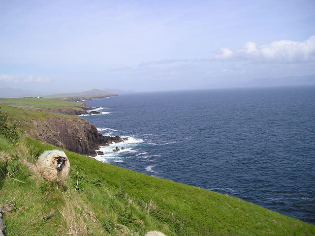 P5300002