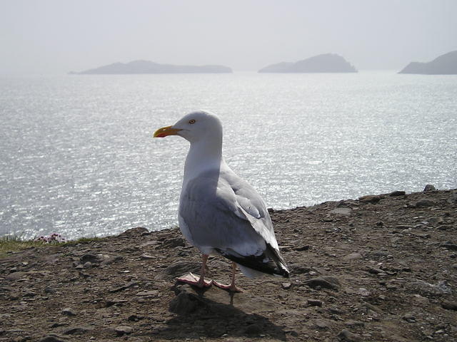 P5300004