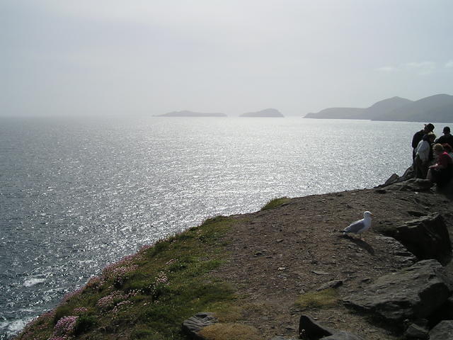P5300005