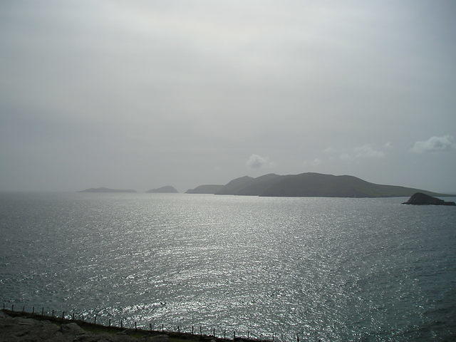 P5300007