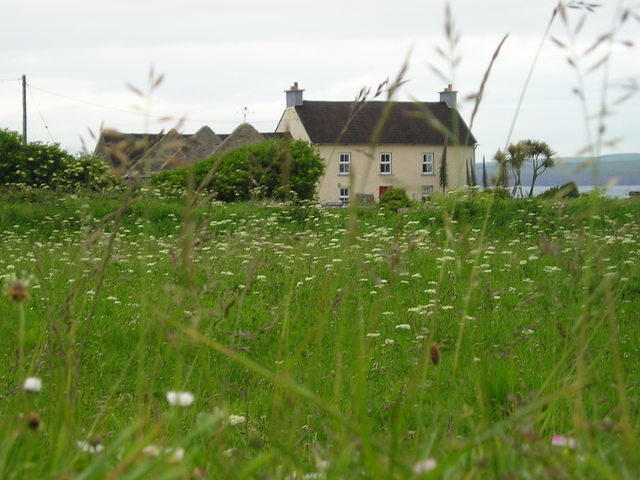 P6030012