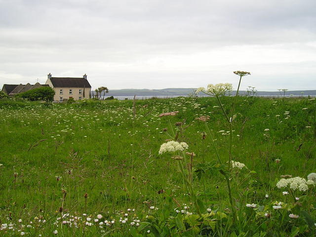 P6030013