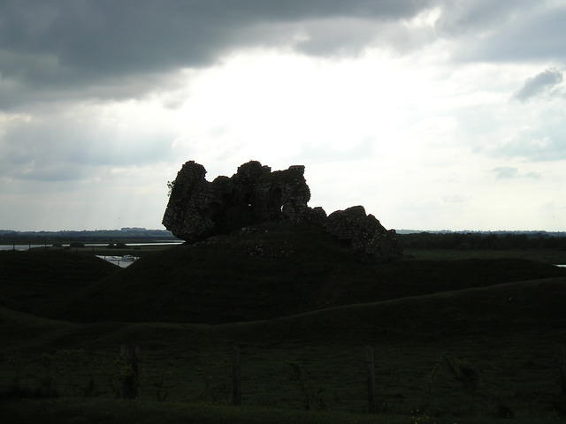 P6050022