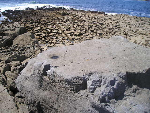 P6090045