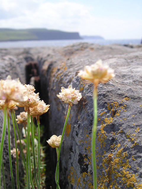 P6090048
