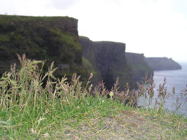 P6090056