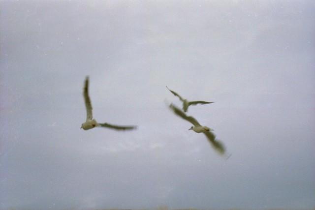 Image22