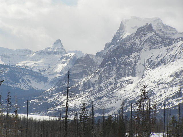 214
