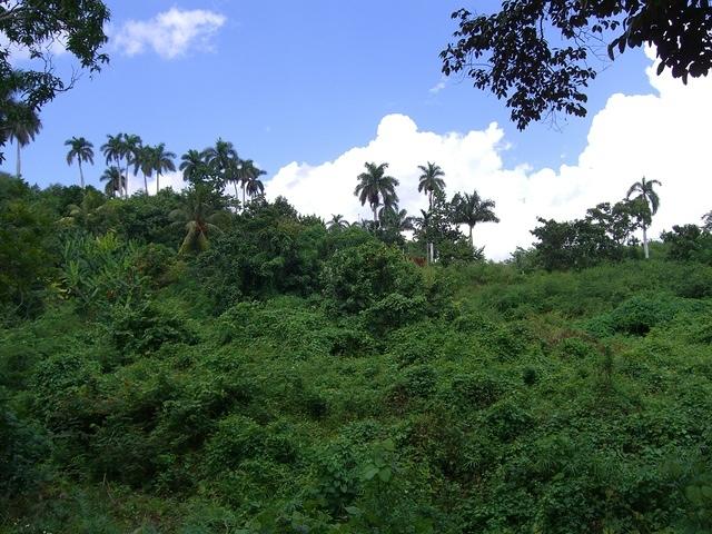 CIMG1371