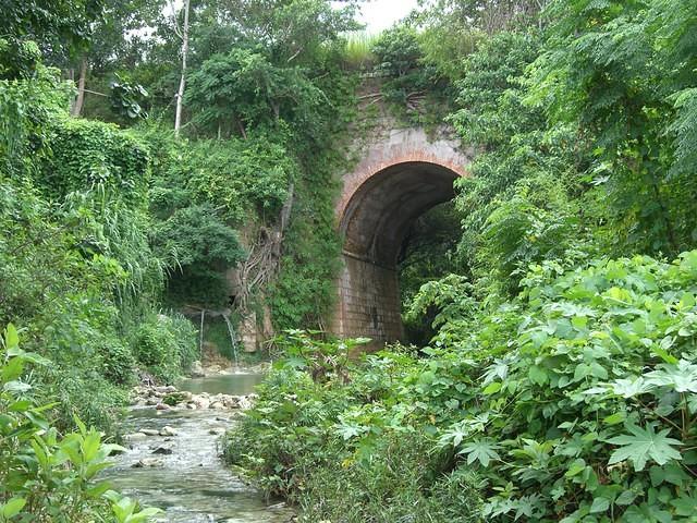 CIMG1372