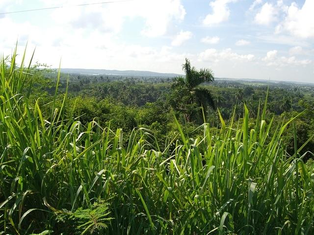 CIMG0446