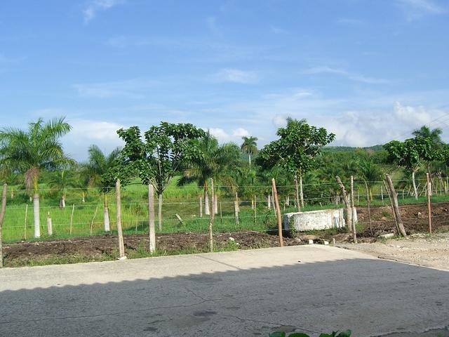 CIMG0493