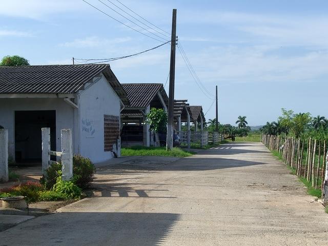 CIMG0497