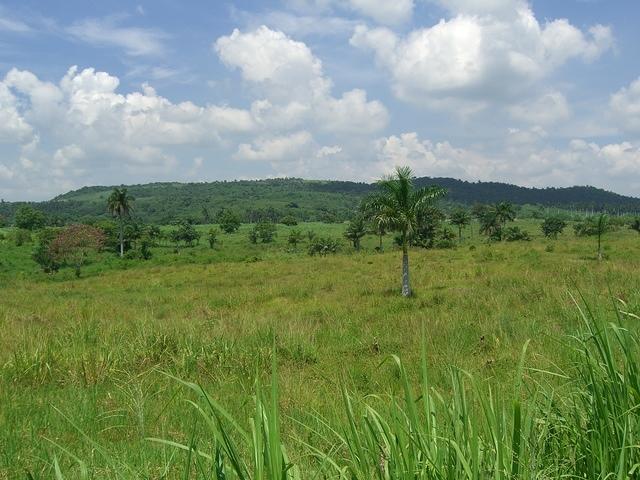 CIMG0524