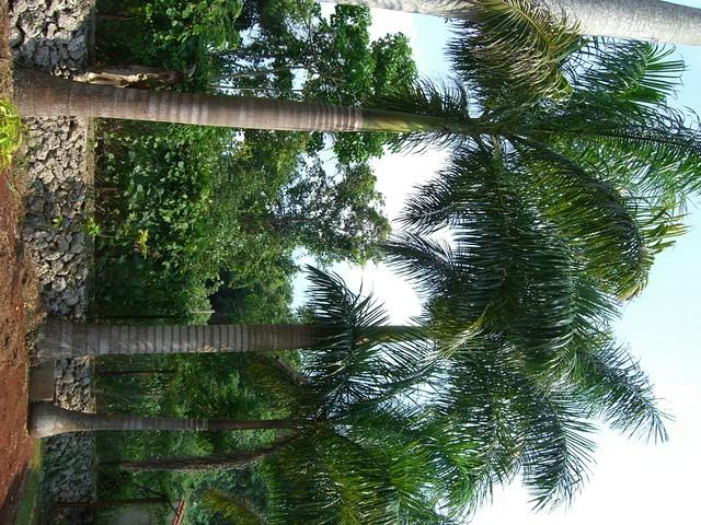 CIMG0548