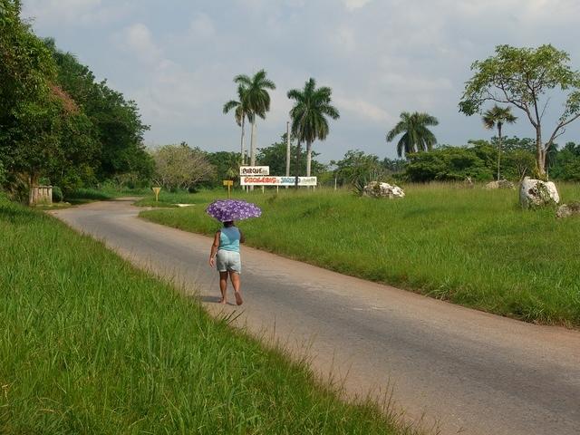 CIMG0549