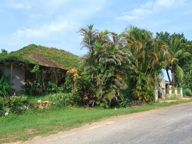 CIMG0562