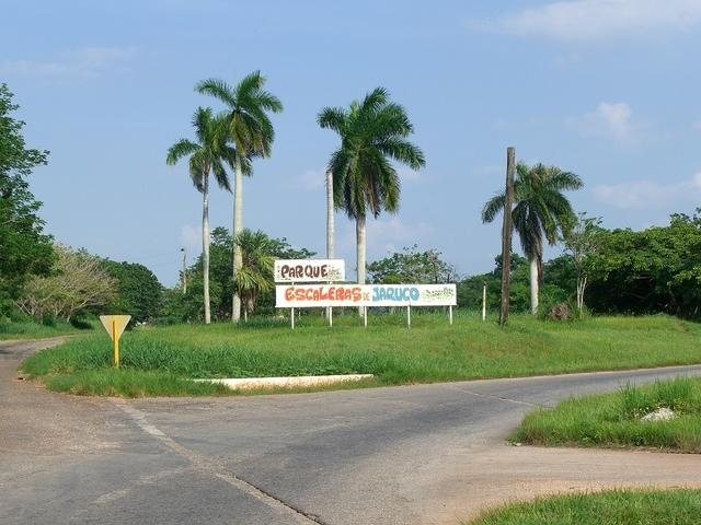 CIMG0563