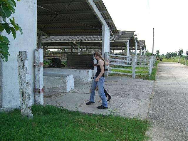 CIMG0593