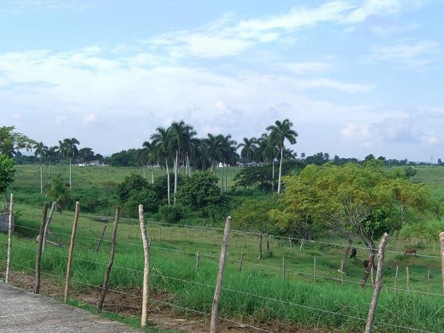 CIMG0595