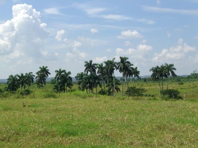 CIMG0609