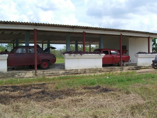 CIMG0632