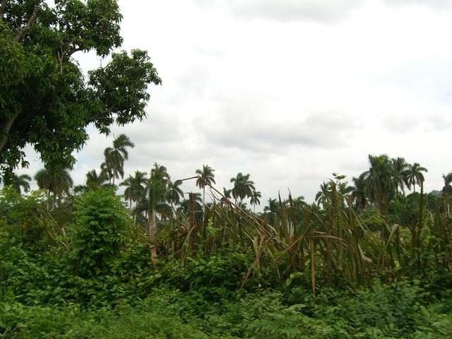 CIMG0734