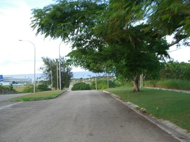 CIMG0739