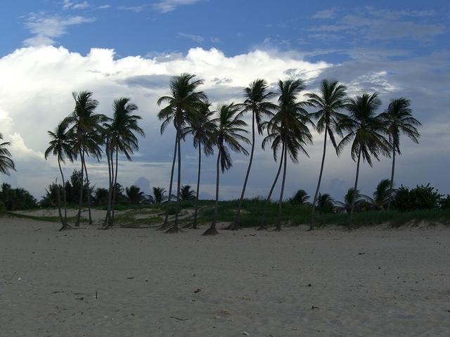 CIMG0740