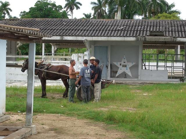 CIMG0789