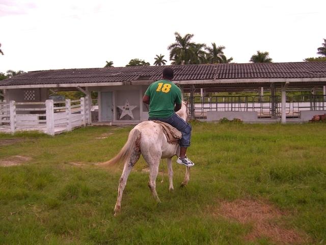 CIMG0814