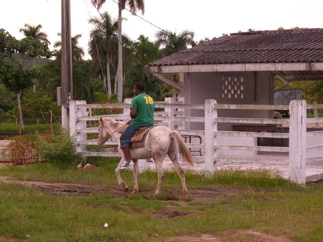 CIMG0815