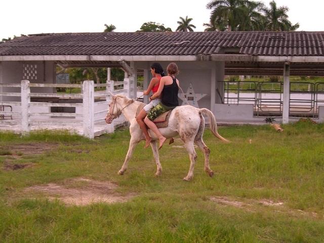 CIMG0820