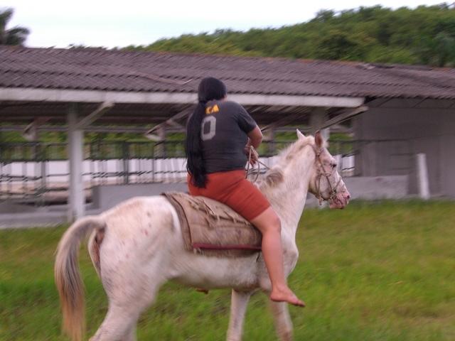 CIMG0837
