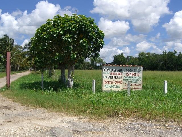 CIMG1044