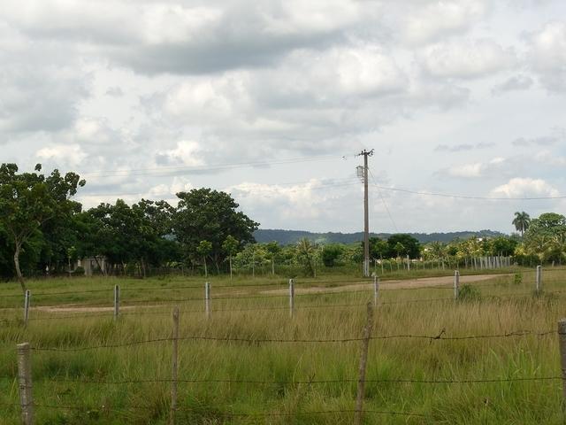 CIMG1263