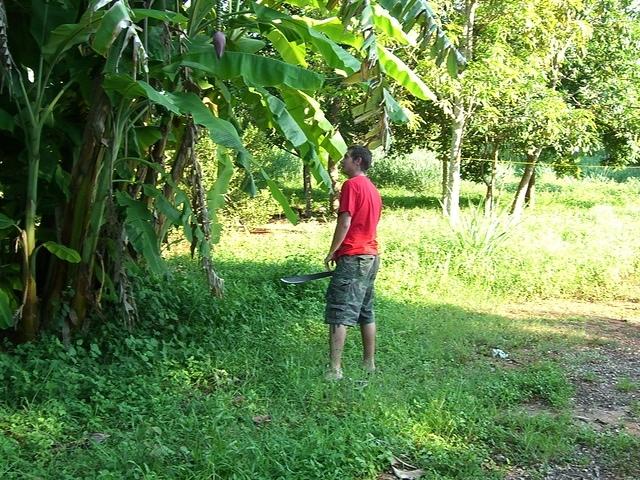 CIMG1287