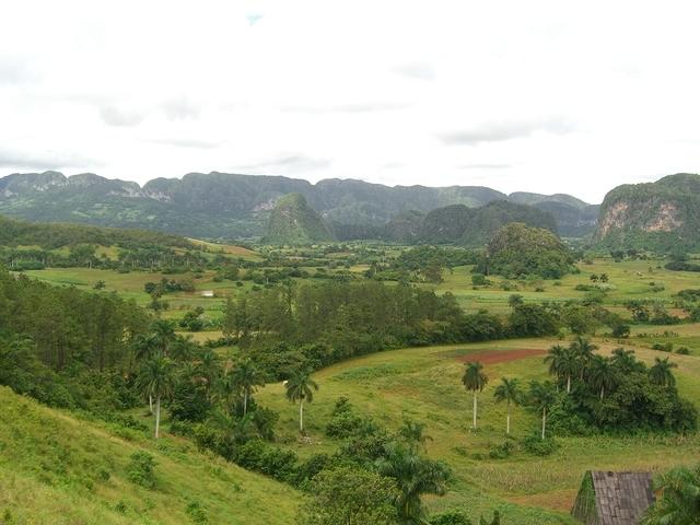 CIMG0909