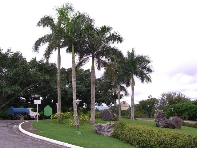 CIMG0919