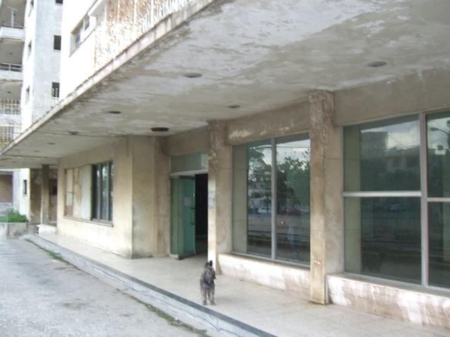 CIMG0990