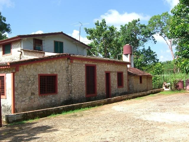 CIMG1099