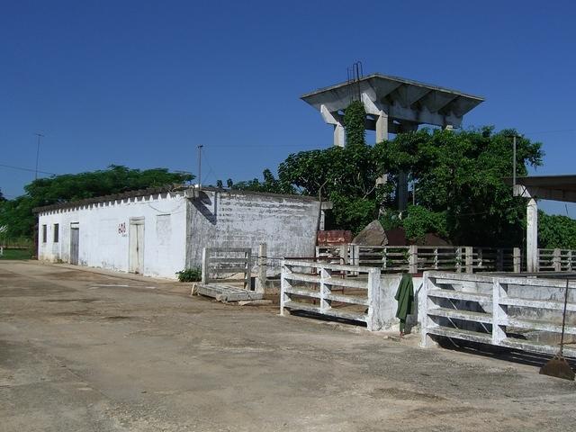 CIMG1267