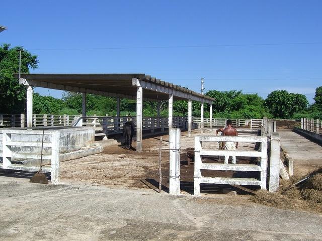 CIMG1268