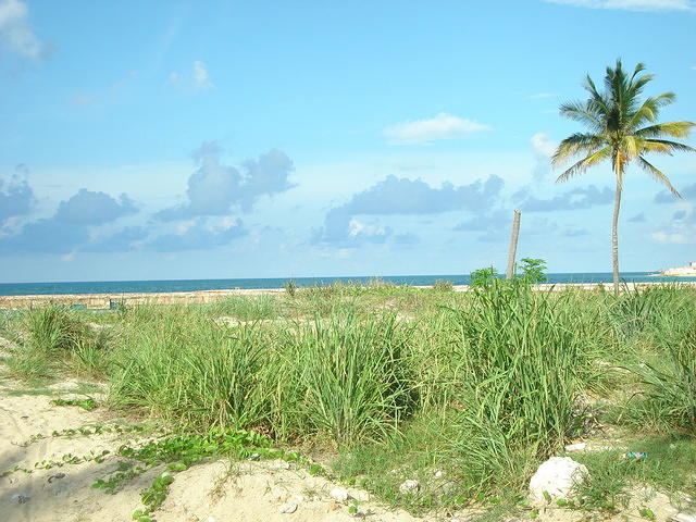 DSC00545