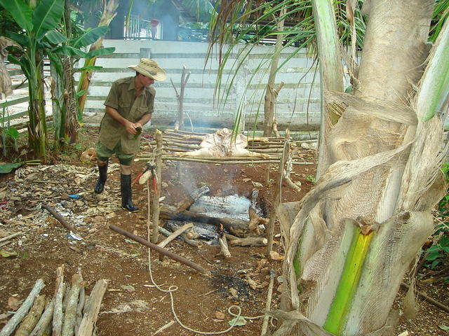 DSC00550